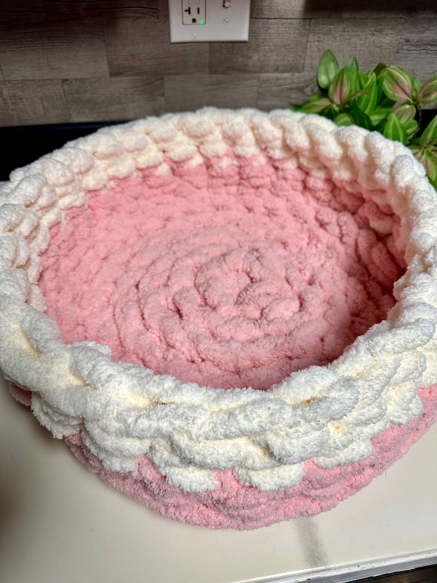 Pet Beds