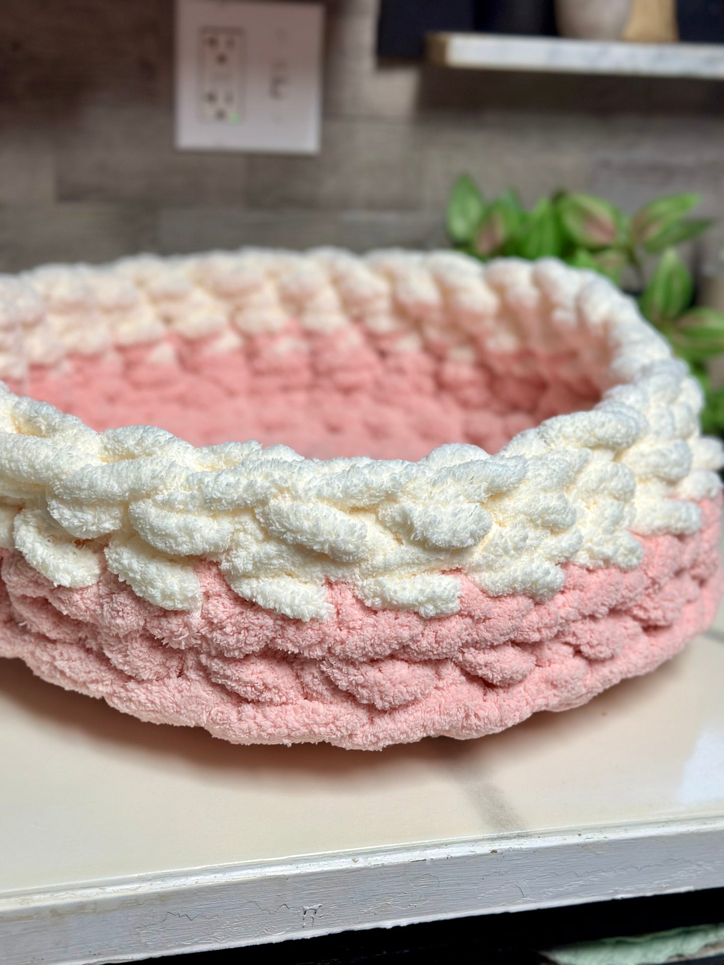 Pet Beds